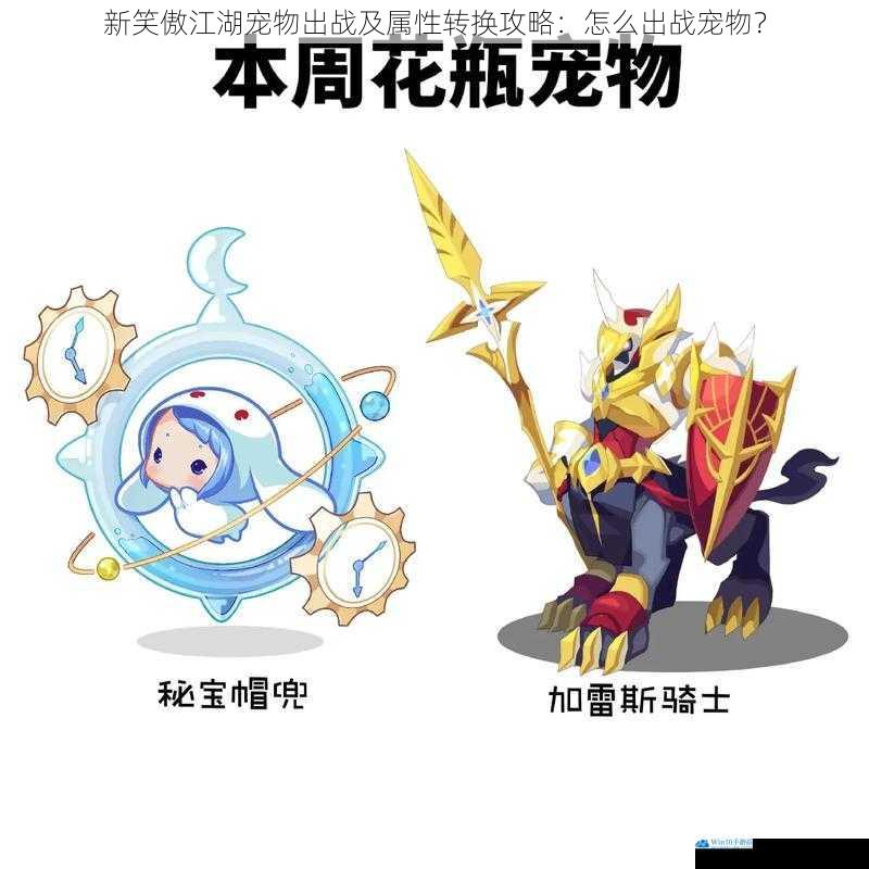 宠物获取与培养