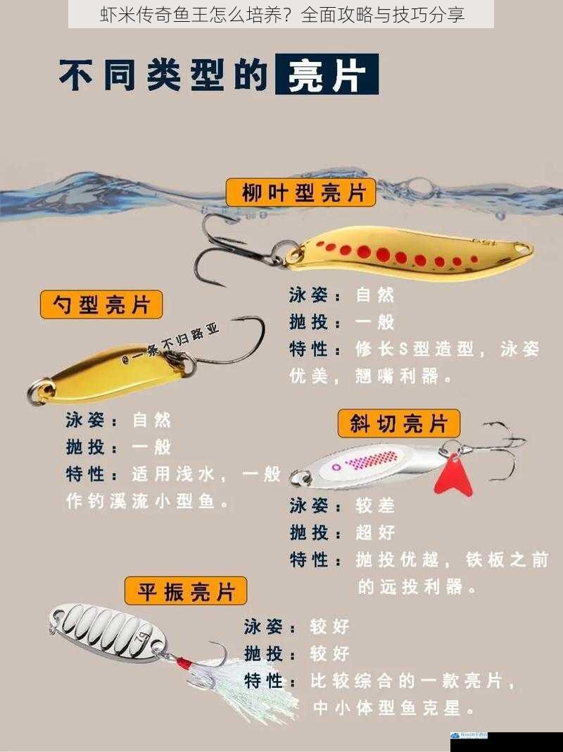 饵料选择与搭配