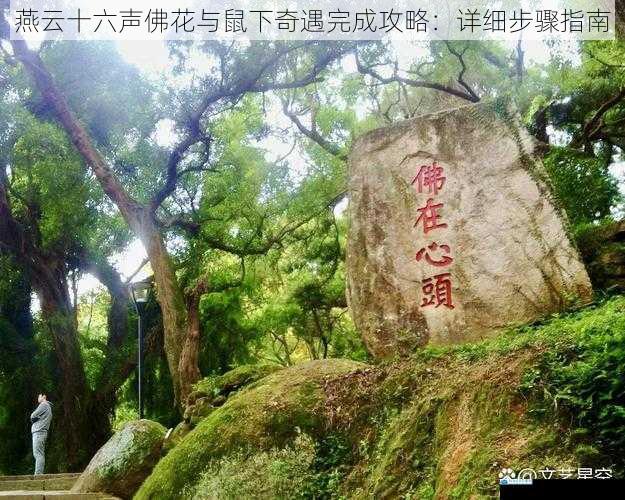 探索佛花之地