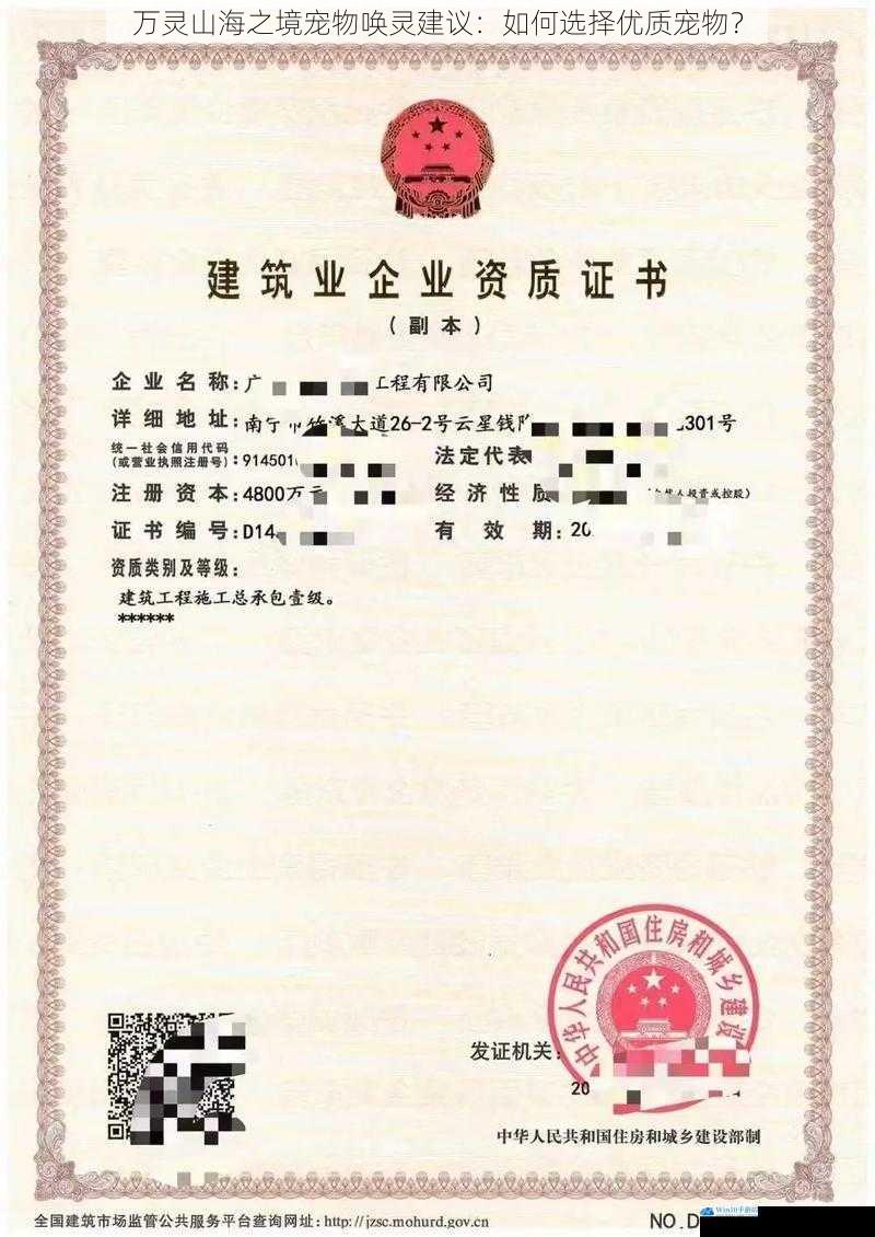 外观与资质