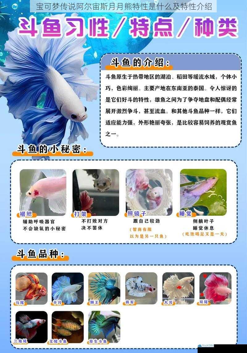 外观与习性