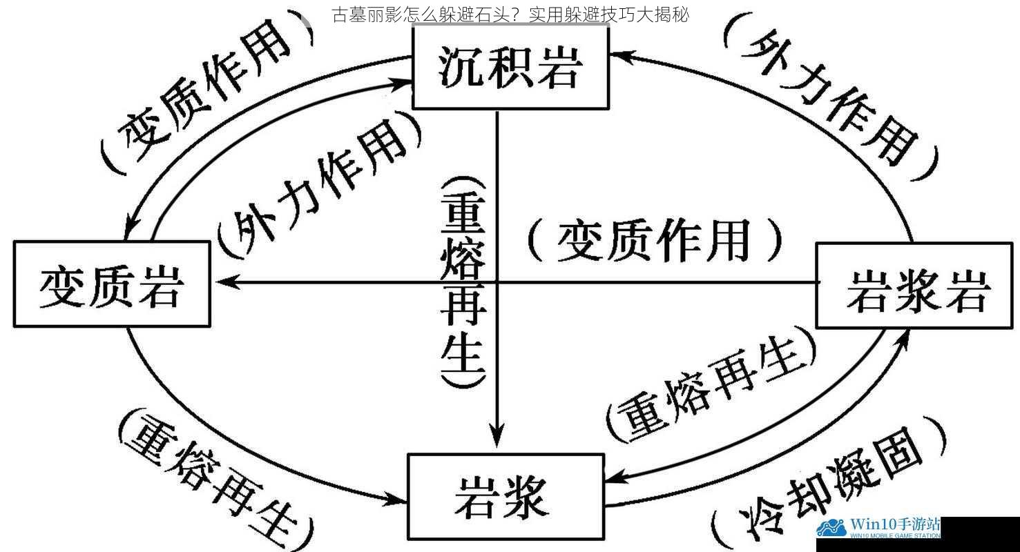 观察石头的运动轨迹