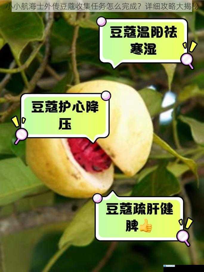 了解豆蔻的获取途径