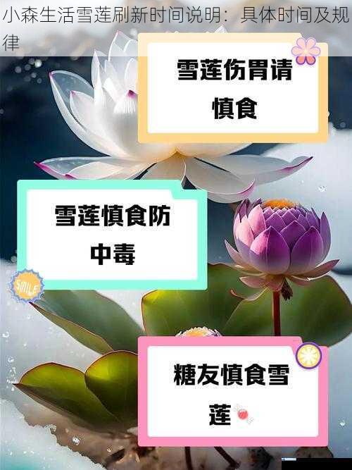 昼夜交替对雪莲刷新时间的影响