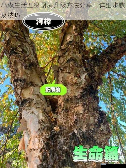材料收集篇