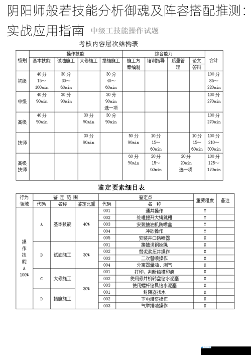 技能分析