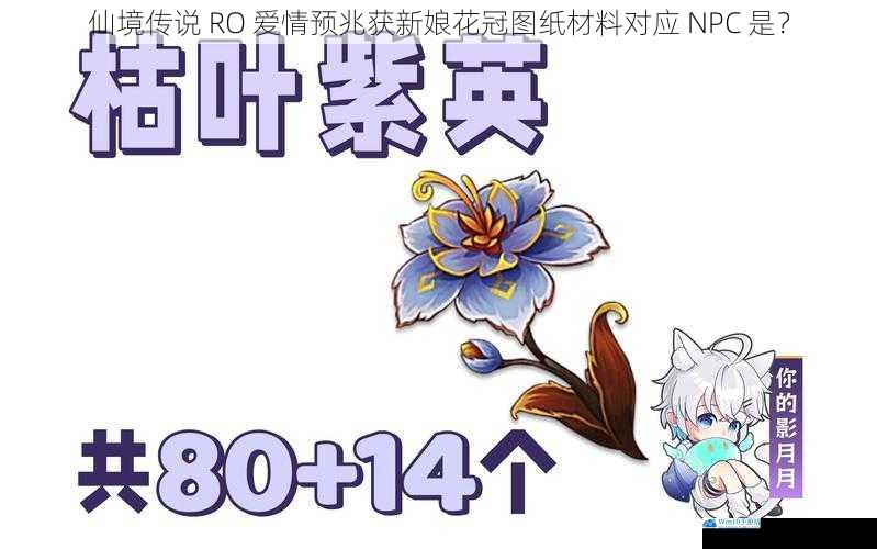 材料收集途径之 NPC 一