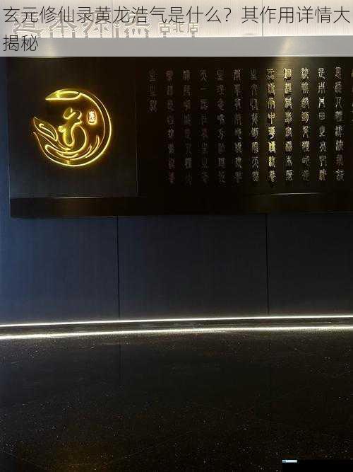 修炼助力之源泉