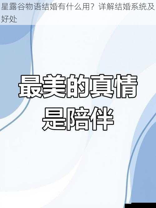 情感陪伴