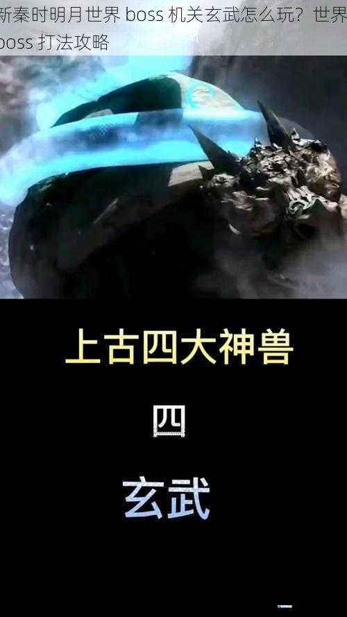 了解机关玄武的特点