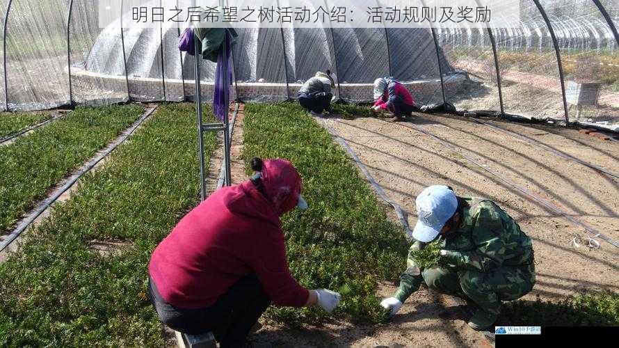 种植与培育