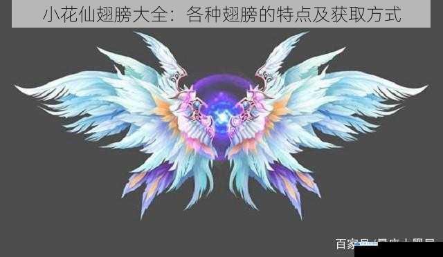 梦幻翅膀:绚丽多彩的精灵之翼