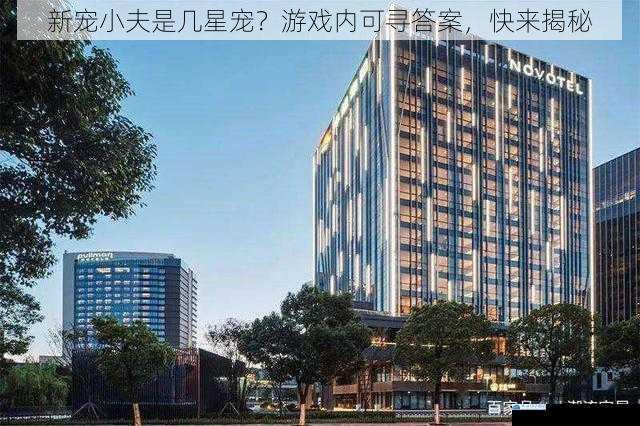 外观与星级的关联