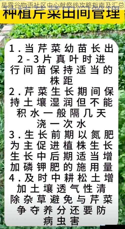 农作物种植攻略