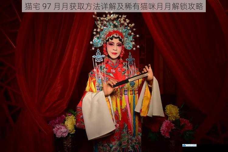 猫宅 97 月月获取方法详解及稀有猫咪月月解锁攻略