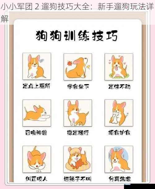 小小军团 2 遛狗技巧大全:新手遛狗玩法详解