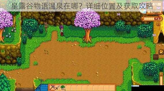 星露谷物语温泉在哪?详细位置及获取攻略