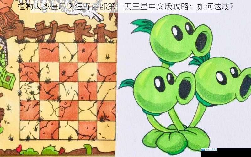 植物大战僵尸 2 狂野西部第二天三星中文版攻略:如何达成?