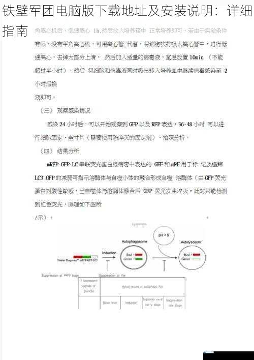 铁壁军团电脑版下载地址及安装说明:详细指南