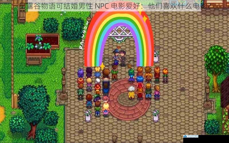 星露谷物语可结婚男性 NPC 电影爱好:他们喜欢什么电影?