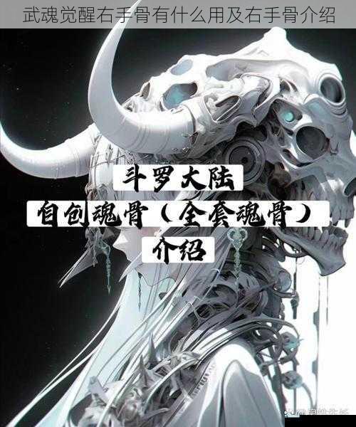 武魂觉醒右手骨有什么用及右手骨介绍