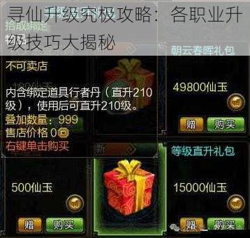 寻仙升级究极攻略:各职业升级技巧大揭秘