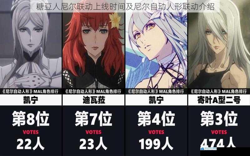 糖豆人尼尔联动上线时间及尼尔自动人形联动介绍