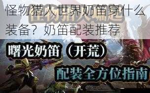 怪物猎人世界奶笛穿什么装备?奶笛配装推荐