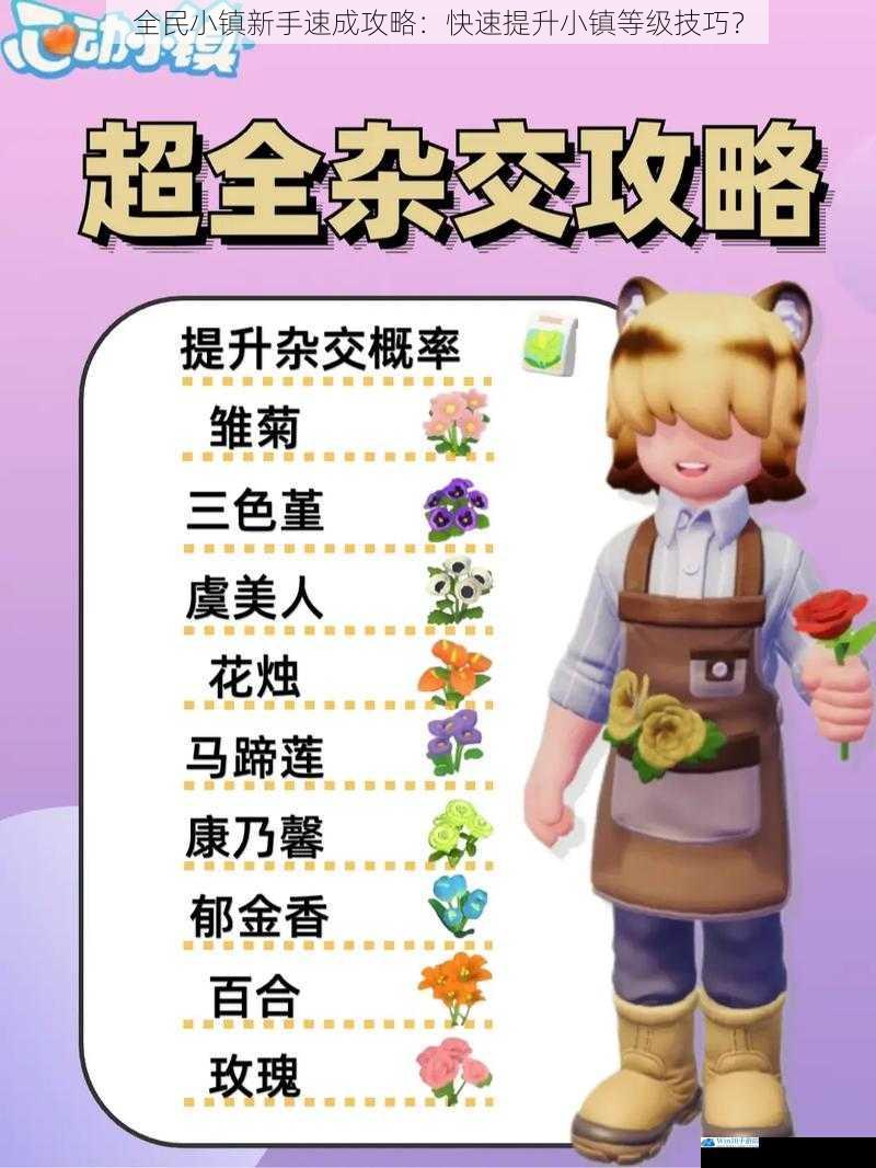 全民小镇新手速成攻略:快速提升小镇等级技巧?