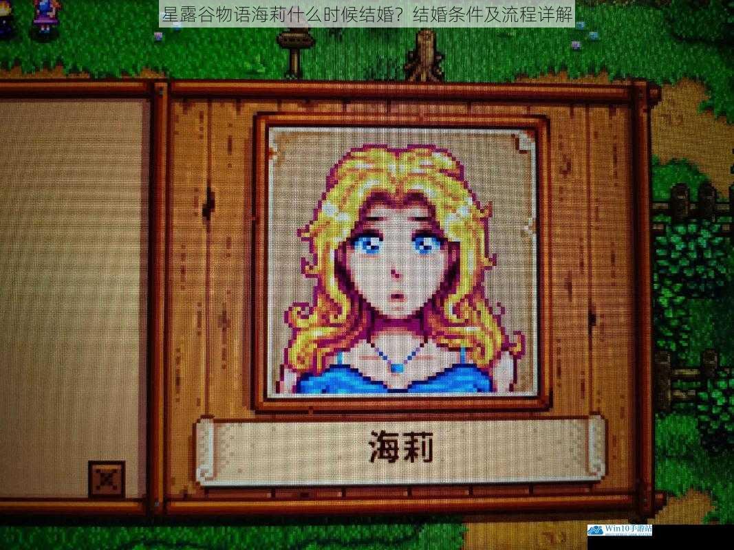 星露谷物语海莉什么时候结婚?结婚条件及流程详解