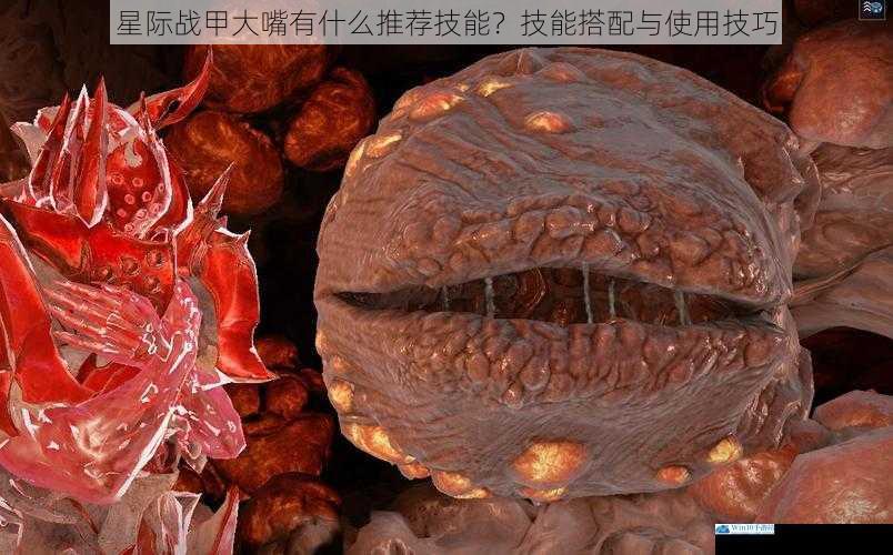 星际战甲大嘴有什么推荐技能?技能搭配与使用技巧