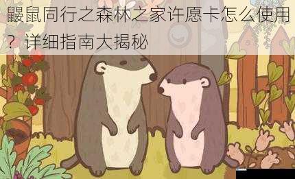 鼹鼠同行之森林之家许愿卡怎么使用?详细指南大揭秘