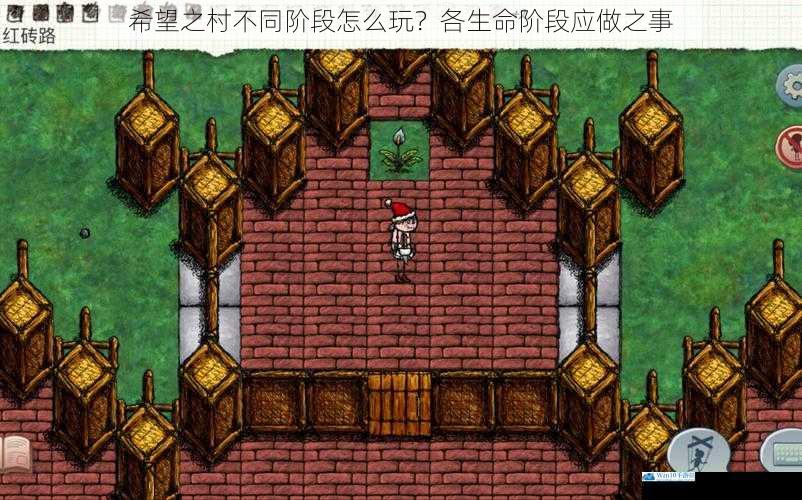 希望之村不同阶段怎么玩?各生命阶段应做之事