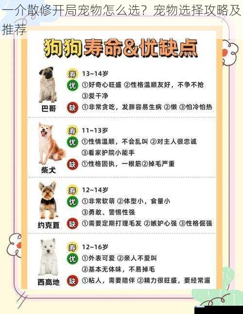 一介散修开局宠物怎么选?宠物选择攻略及推荐