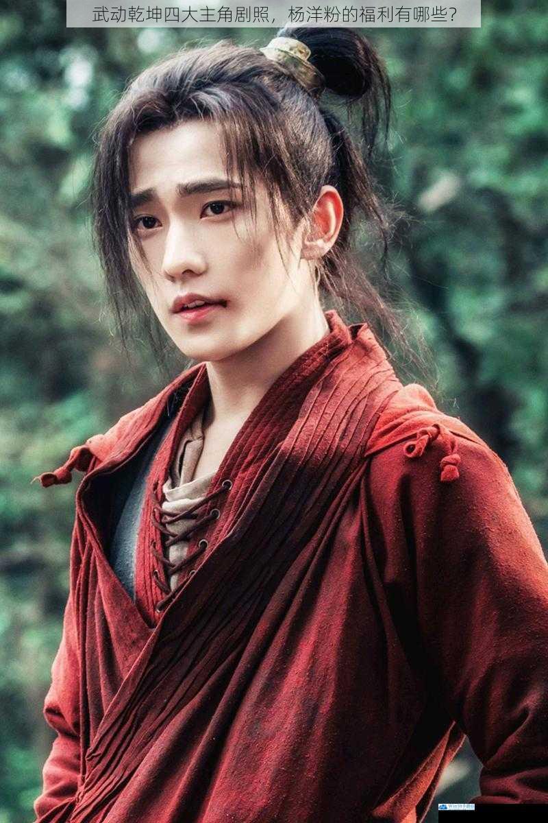 武动乾坤四大主角剧照,杨洋粉的福利有哪些?