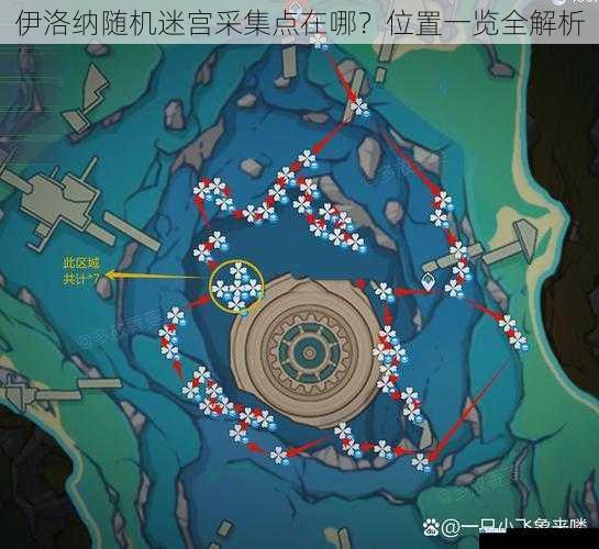 伊洛纳随机迷宫采集点在哪?位置一览全解析