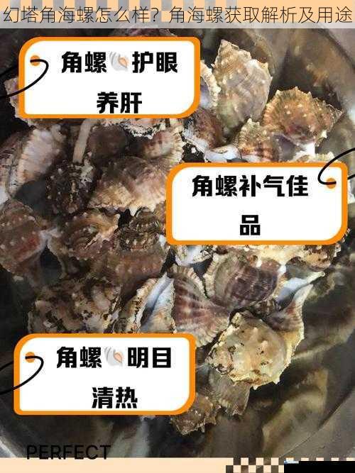 幻塔角海螺怎么样?角海螺获取解析及用途