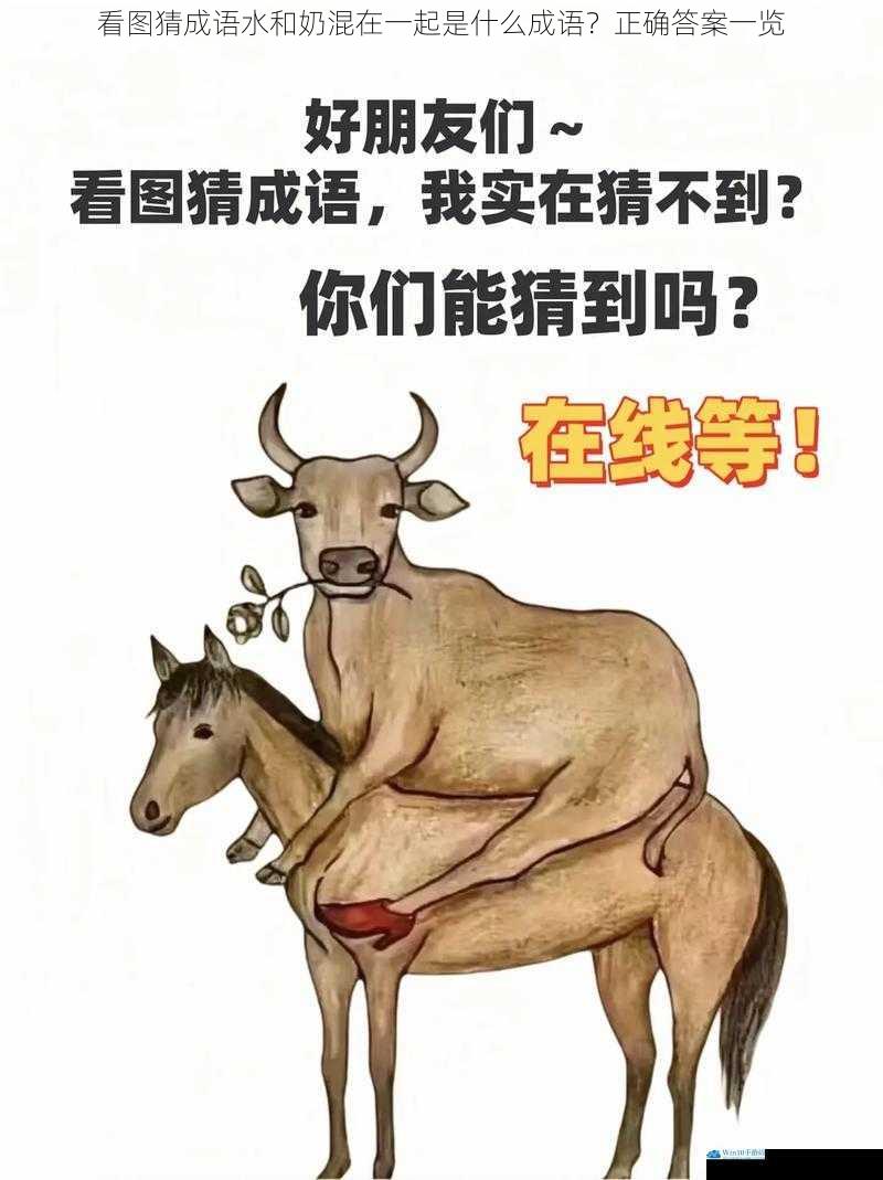看图猜成语水和奶混在一起是什么成语?正确答案一览