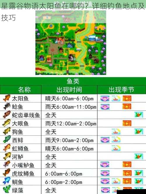 星露谷物语太阳鱼在哪钓?详细钓鱼地点及技巧