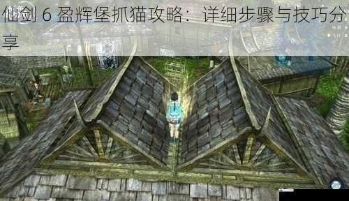 仙剑 6 盈辉堡抓猫攻略:详细步骤与技巧分享