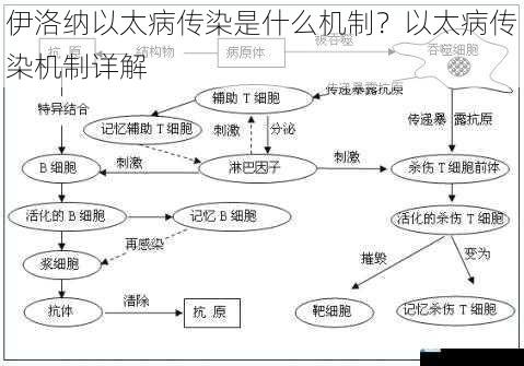伊洛纳以太病传染是什么机制?以太病传染机制详解