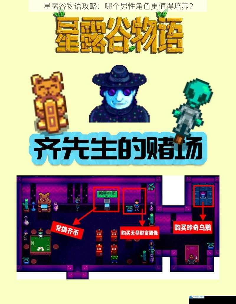 星露谷物语攻略:哪个男性角色更值得培养?