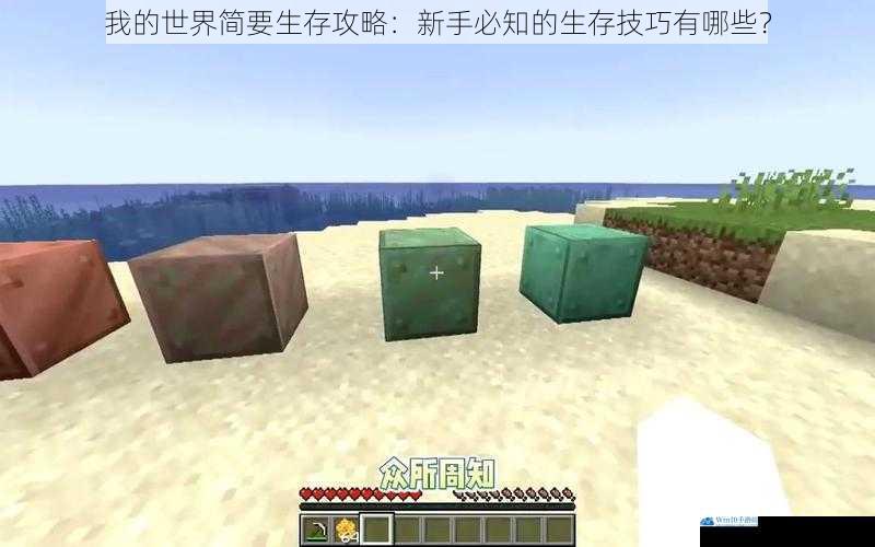 我的世界简要生存攻略:新手必知的生存技巧有哪些?