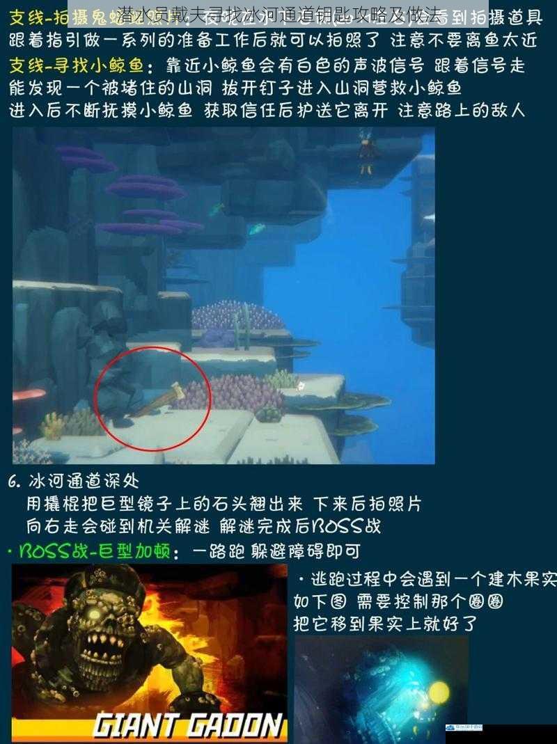 潜水员戴夫寻找冰河通道钥匙攻略及做法