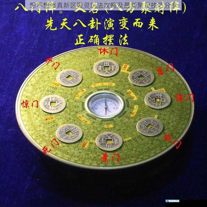 想不想修真新区聚灵玩法攻略及最新聚灵技巧分享