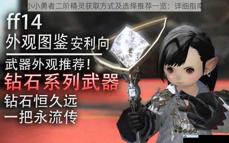 小小勇者二阶精灵获取方式及选择推荐一览:详细指南
