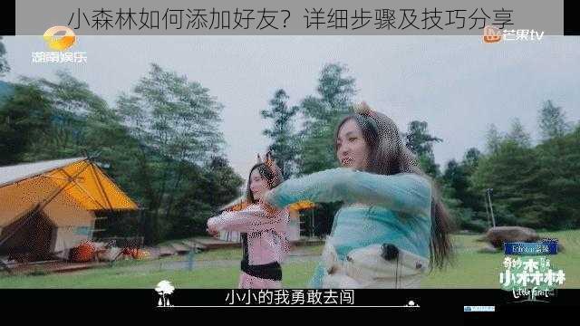 小森林如何添加好友?详细步骤及技巧分享