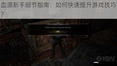 血源新手细节指南:如何快速提升游戏技巧?