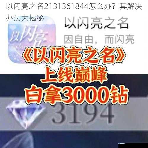 以闪亮之名2131361844怎么办?其解决办法大揭秘