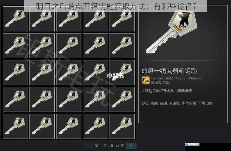 明日之后哨点开箱钥匙获取方式:有哪些途径?
